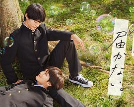 龙华seo优化关键词多少钱